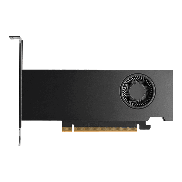 כרטיס מסך Nvidia RTX PRO 2000 Blackwell 16GB GDDR7 Bulk